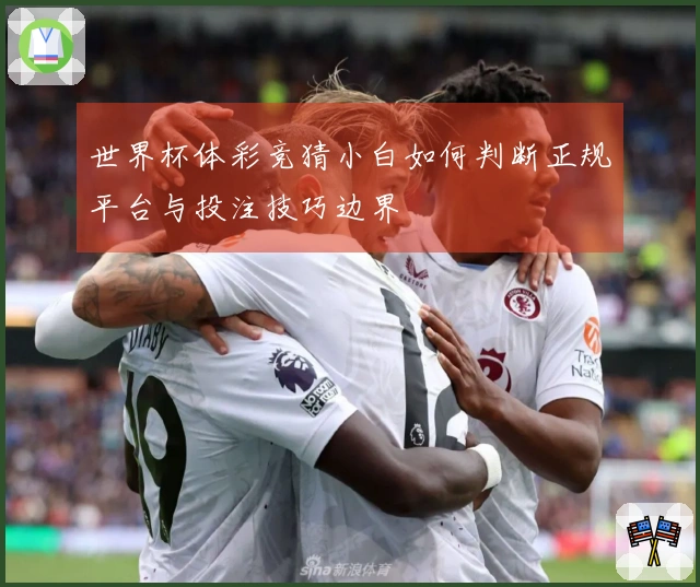 世界杯体彩竞猜小白如何判断正规平台与投注技巧边界