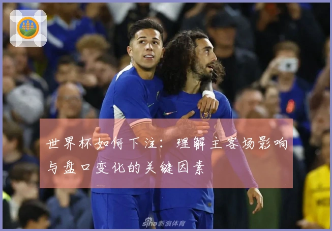 世界杯如何下注：理解主客场影响与盘口变化的关键因素