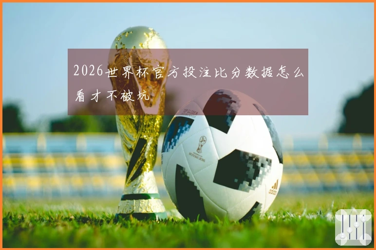 2026世界杯官方投注比分数据怎么看才不被坑