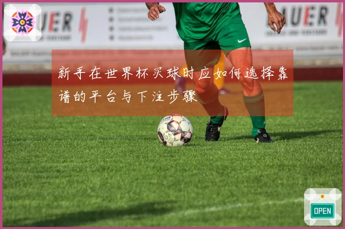 新手在世界杯买球时应如何选择靠谱的平台与下注步骤