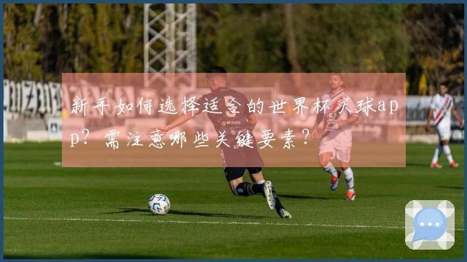 新手如何选择适合的世界杯买球app？需注意哪些关键要素？