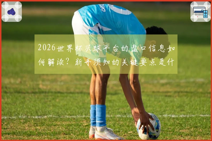 2026世界杯买球平台的盘口信息如何解读？新手须知的关键要点是什么