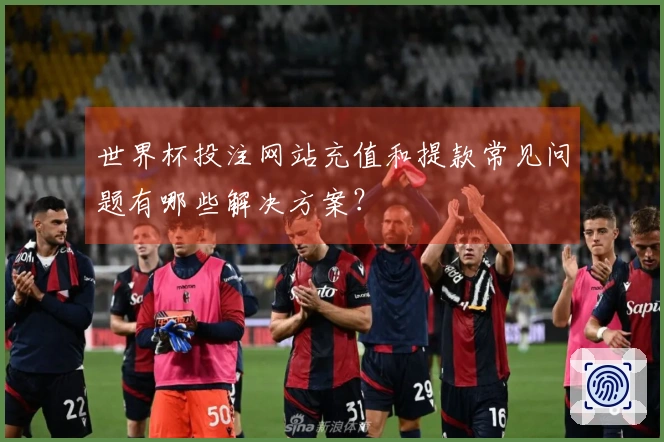 世界杯投注网站充值和提款常见问题有哪些解决方案？