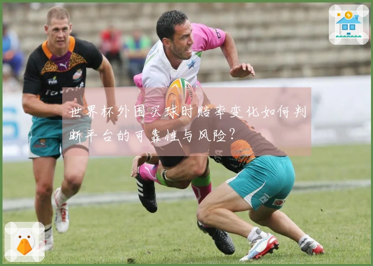 世界杯外围买球时赔率变化如何判断平台的可靠性与风险？
