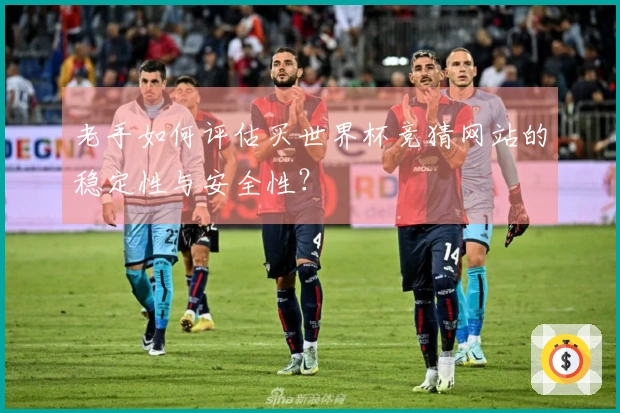 老手如何评估买世界杯竞猜网站的稳定性与安全性？