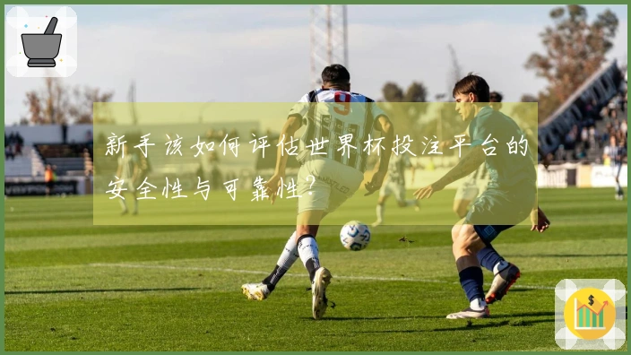 新手该如何评估世界杯投注平台的安全性与可靠性？