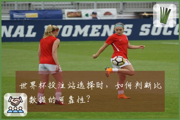 世界杯投注站选择时，如何判断比分数据的可靠性？