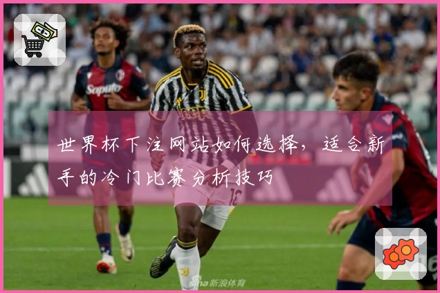 世界杯下注网站如何选择，适合新手的冷门比赛分析技巧