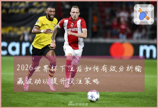 2026世界杯下注后如何有效分析输赢波动以提升投注策略