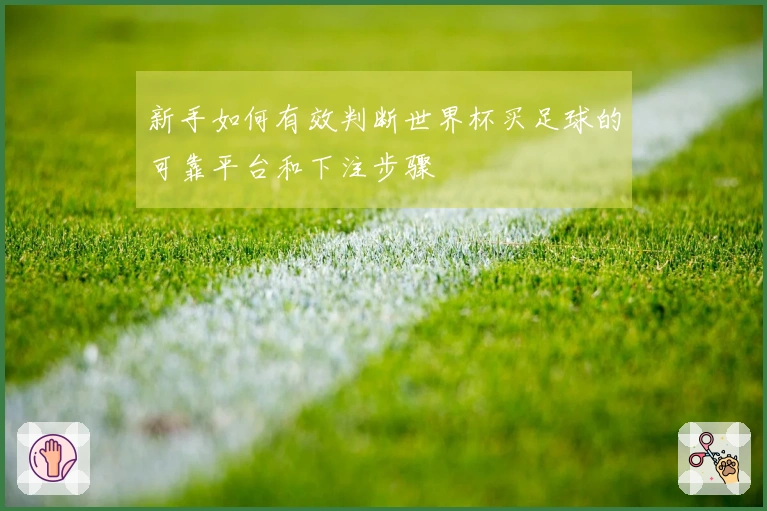 新手如何有效判断世界杯买足球的可靠平台和下注步骤