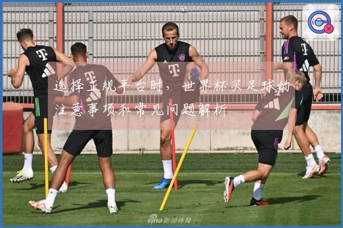 选择正规平台时，世界杯买足球的注意事项和常见问题解析