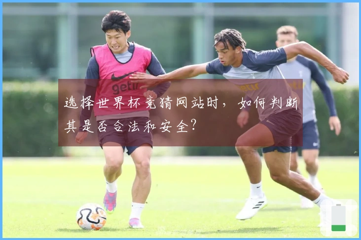 选择世界杯竞猜网站时，如何判断其是否合法和安全？