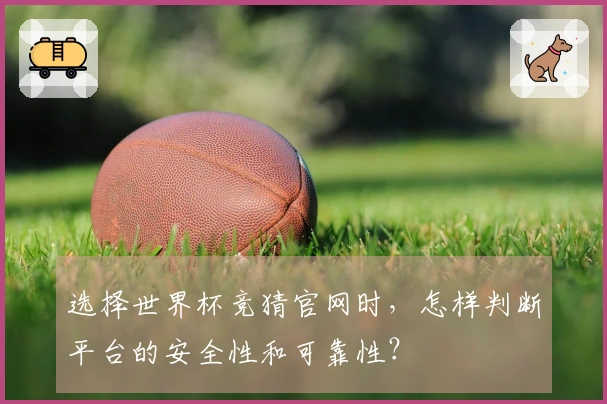 选择世界杯竞猜官网时，怎样判断平台的安全性和可靠性？