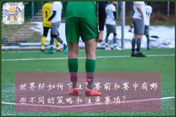 世界杯如何下注？赛前和赛中有哪些不同的策略和注意事项？