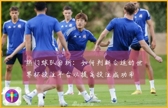 热门球队分析：如何判断合适的世界杯投注平台以提高投注成功率