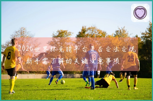 2026世界杯竞猜平台是否合法合规？新手需了解的关键注意事项