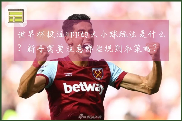 世界杯投注app的大小球玩法是什么？新手需要注意哪些规则和策略？