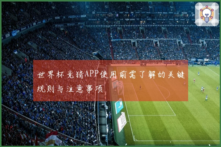 世界杯竞猜APP使用前需了解的关键规则与注意事项