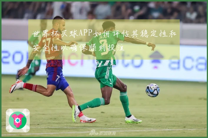 世界杯买球APP如何评估其稳定性和安全性以确保顺利投注