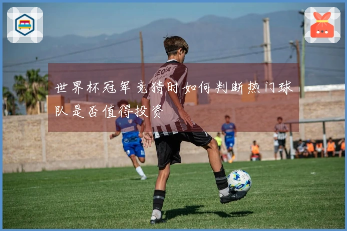 世界杯冠军竞猜时如何判断热门球队是否值得投资