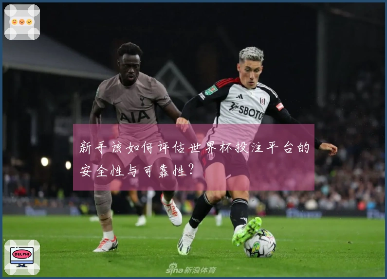 新手该如何评估世界杯投注平台的安全性与可靠性？
