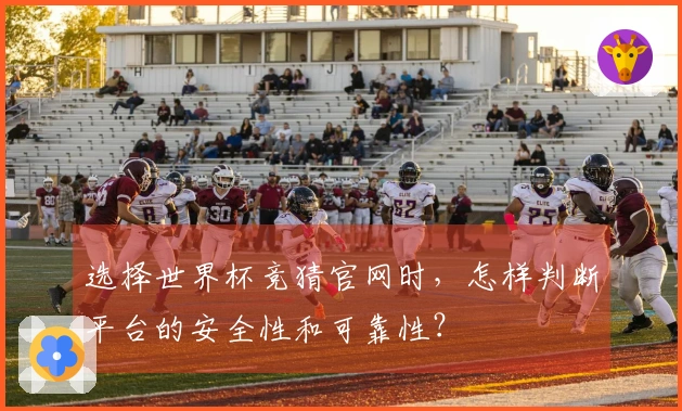 选择世界杯竞猜官网时，怎样判断平台的安全性和可靠性？