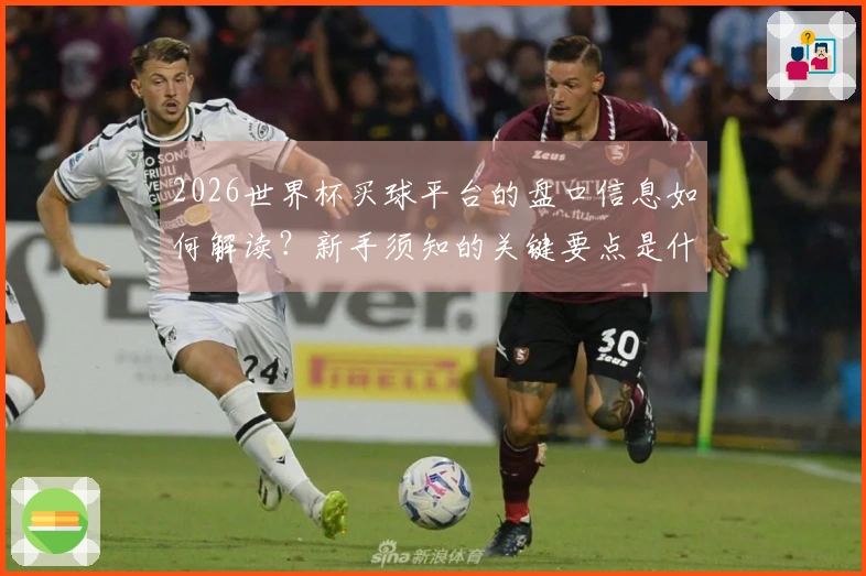 2026世界杯买球平台的盘口信息如何解读？新手须知的关键要点是什么
