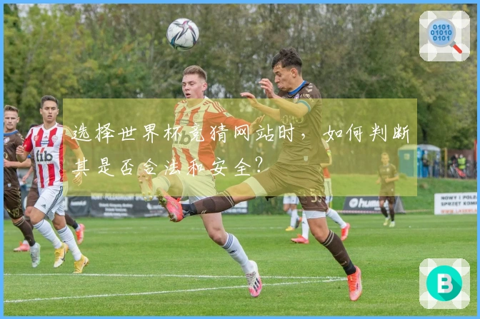 选择世界杯竞猜网站时，如何判断其是否合法和安全？