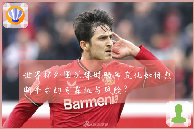 世界杯外围买球时赔率变化如何判断平台的可靠性与风险？