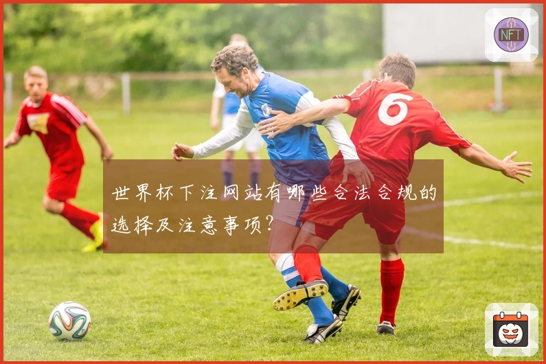 世界杯下注网站有哪些合法合规的选择及注意事项？