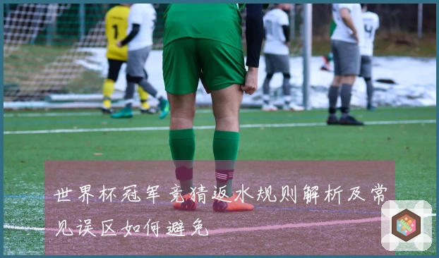 世界杯冠军竞猜返水规则解析及常见误区如何避免