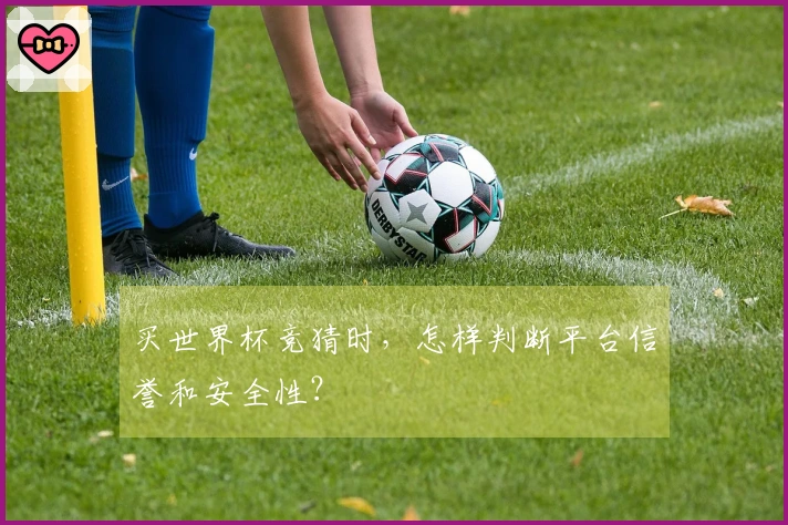 买世界杯竞猜时，怎样判断平台信誉和安全性？