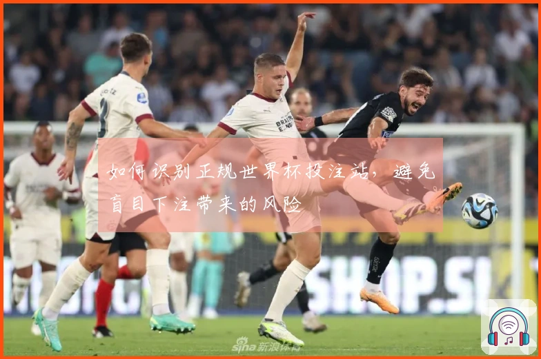 如何识别正规世界杯投注站，避免盲目下注带来的风险